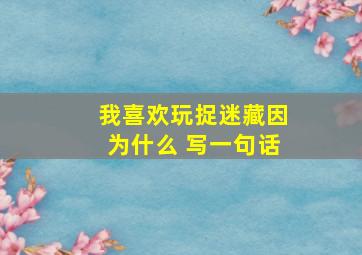 我喜欢玩捉迷藏因为什么 写一句话